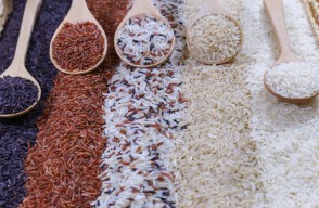 Paddy Mandi Bhav Today in Hindi: उत्तर प्रदेश की विभिन्न मंडियों में धान का मंडी भाव आज का (06 अप्रैल 2024) आइए Khetivyapar पर जानें